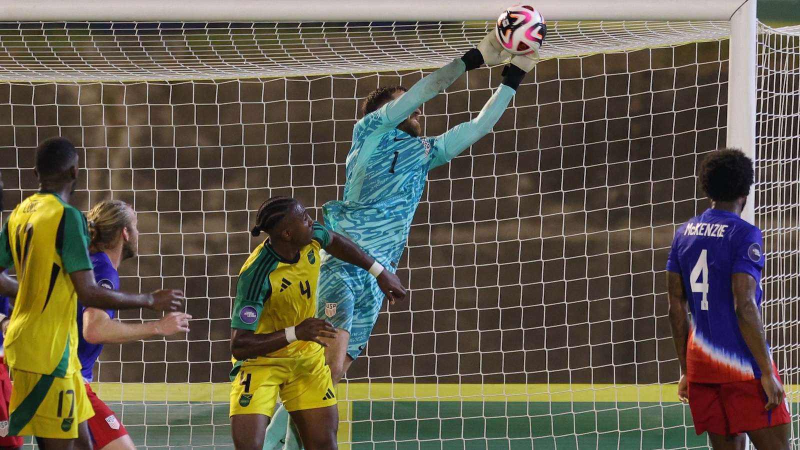 引起了极大 引起了极大