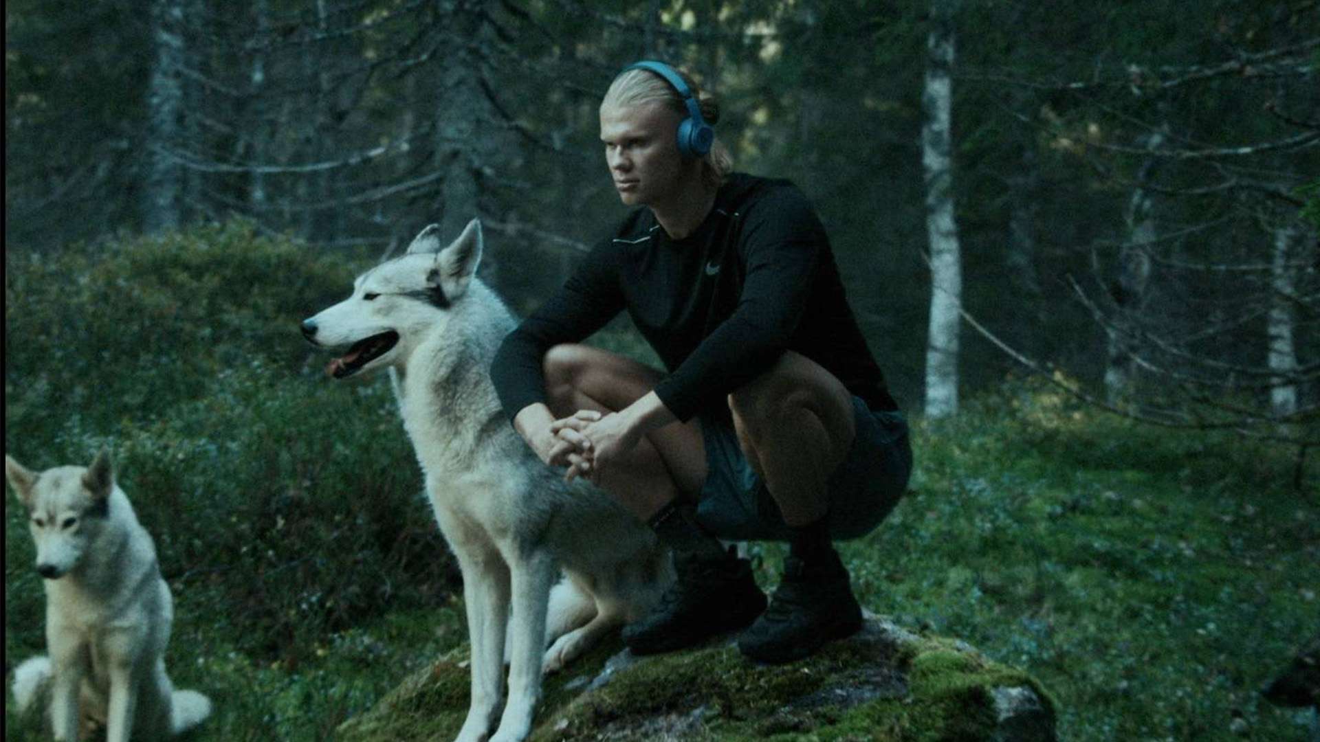 析将从球队 析将从球队