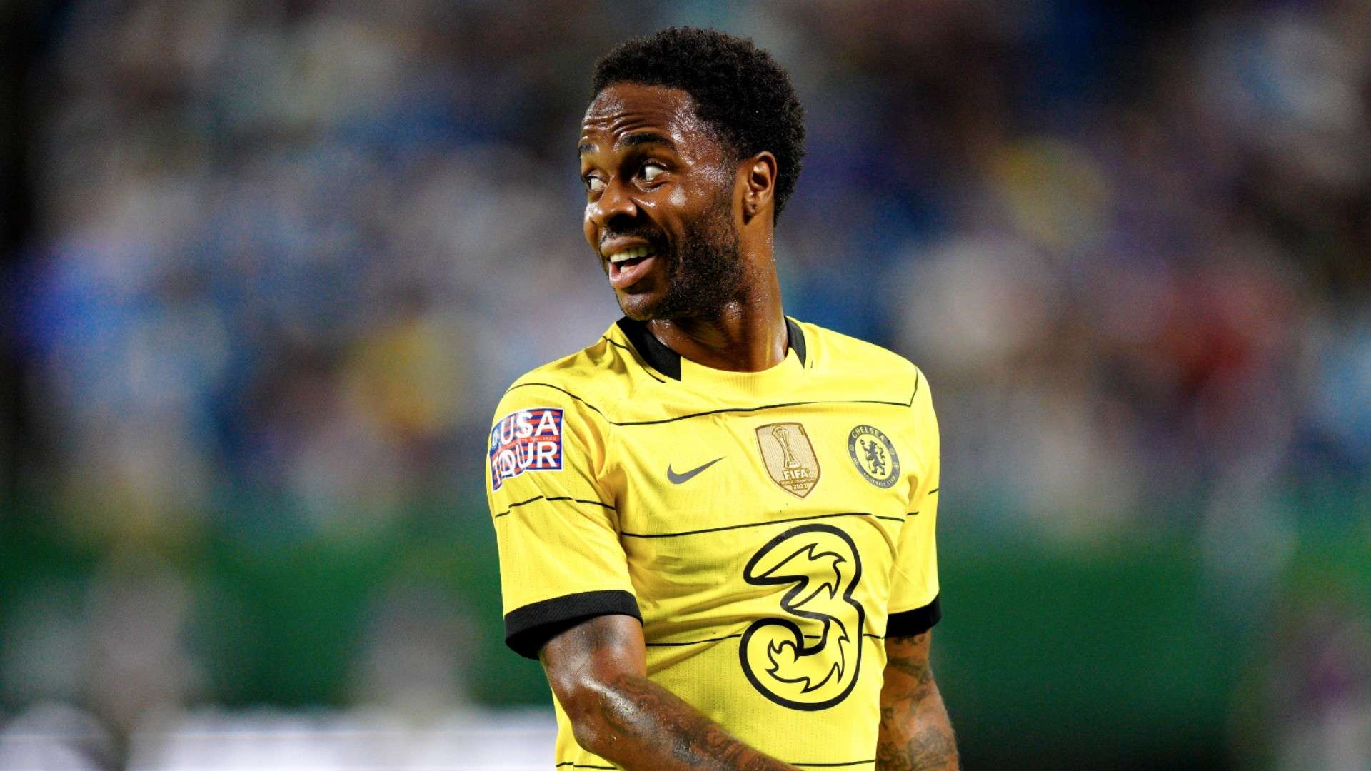 星成为了文 星成为了文